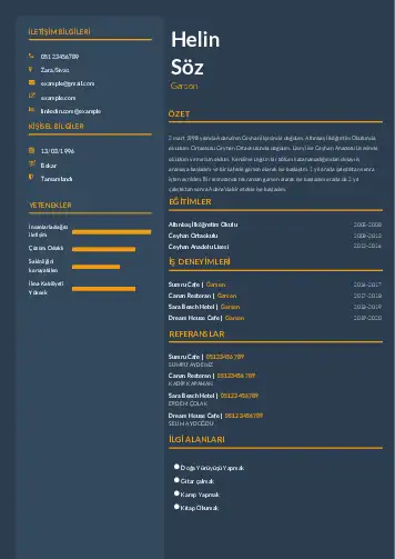 cv indir